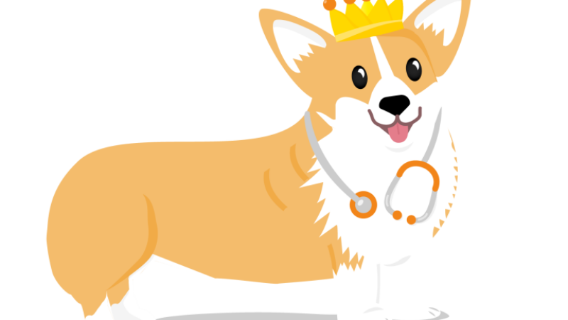 A cartoon corgi wearing a crown and a stethoscope